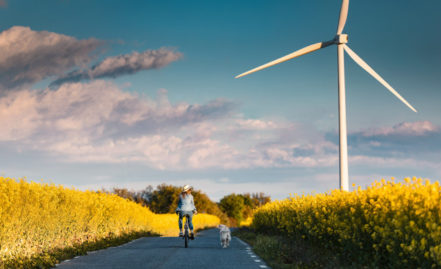Le biofioul, l’énergie du futur.